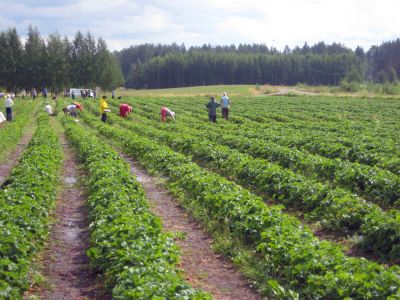 Poimijat
